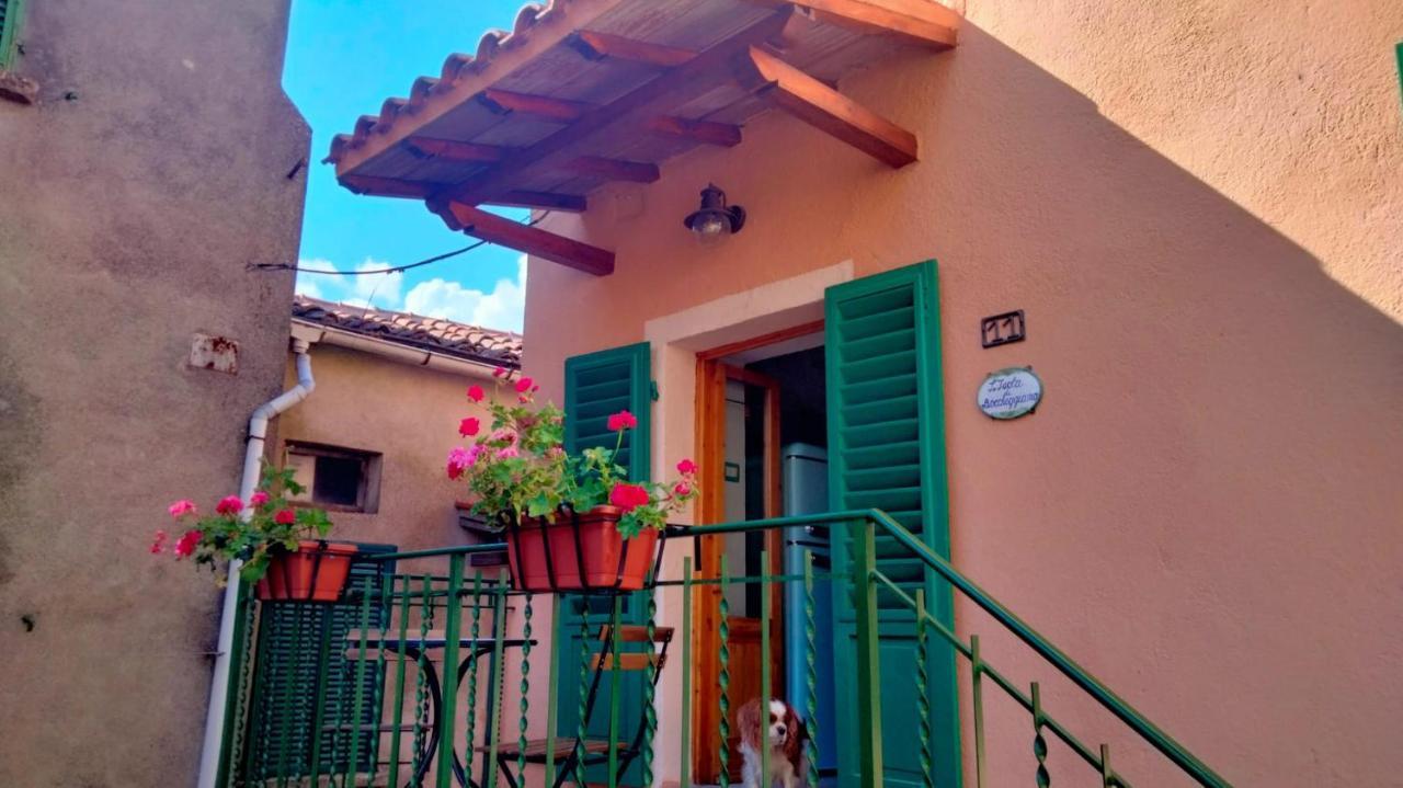 L'Isola Di Boccheggiano Apartment Ngoại thất bức ảnh